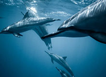 开云体育：以热爱为驱动的全新体育生活方式